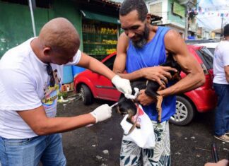Salvador Tem Postos Volantes De Vacinação Antirrábica Neste Fim De Semana