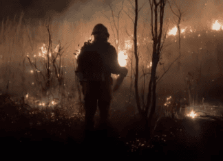 Incêndio De Grandes Proporções Mobiliza Bombeiros Na Serra Da Bandeira, Em Barreiras