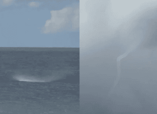 VÍDEO: O Que Era Aquela Espiral No Mar? Tromba-d’água Chama A Atenção De Banhistas Em Salvador