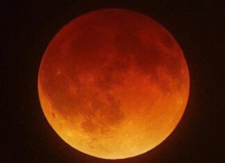 VÍDEO: Lua Ganhará Tom Avermelhado E Poderá Ser Vista De Salvador Nesta Noite VÍDEO: Lua Ganhará Tom Avermelhado E Poderá Ser Vista De Salvador Nesta Noite