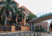 Anvisa alerta risco de deficiência de B6 com uso de carbidopa/levodopa