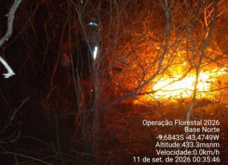 Incêndio Avança No Norte Da Bahia E Mobiliza Bombeiros E Duas Aeronaves
