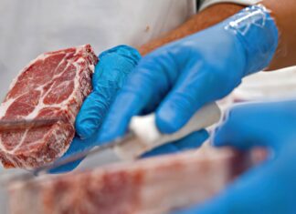 Carne bovina: produtores se preocupam com suspensão de compras pela UE Carne bovina: produtores se preocupam com suspensão de compras pela UE