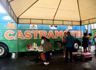 Castramóvel Oferece Castração Gratuita De Cães E Gatos; Veja Como Funciona