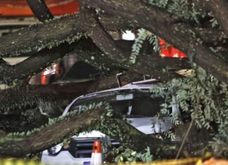 Chuvas fortes levam Defesa Civil a emitir mais de 50 alertas em SP Chuvas fortes levam Defesa Civil a emitir mais de 50 alertas em SP