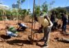 Salvador Planta 3,6 Mil árvores Em área De 5 Mil M²; Veja Onde Fica A Microfloresta Salvador Planta 3,6 Mil árvores Em área De 5 Mil M²; Veja Onde Fica A Microfloresta