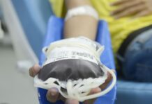 Portaria libera doação de sangue de pessoas com mais de 70 anos