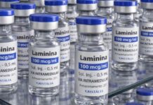 Testes clínicos fase 1 da polilaminina começam este mês