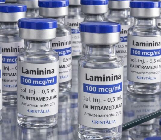 Testes clínicos fase 1 da polilaminina começam este mês