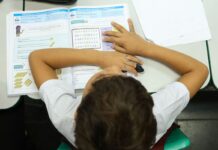 Censo Escolar: resultado preliminar está disponível no site do Inep