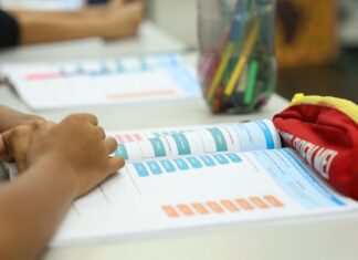 Censo Escolar 2026: dados da 1ª etapa podem ser conferidos até dia 11